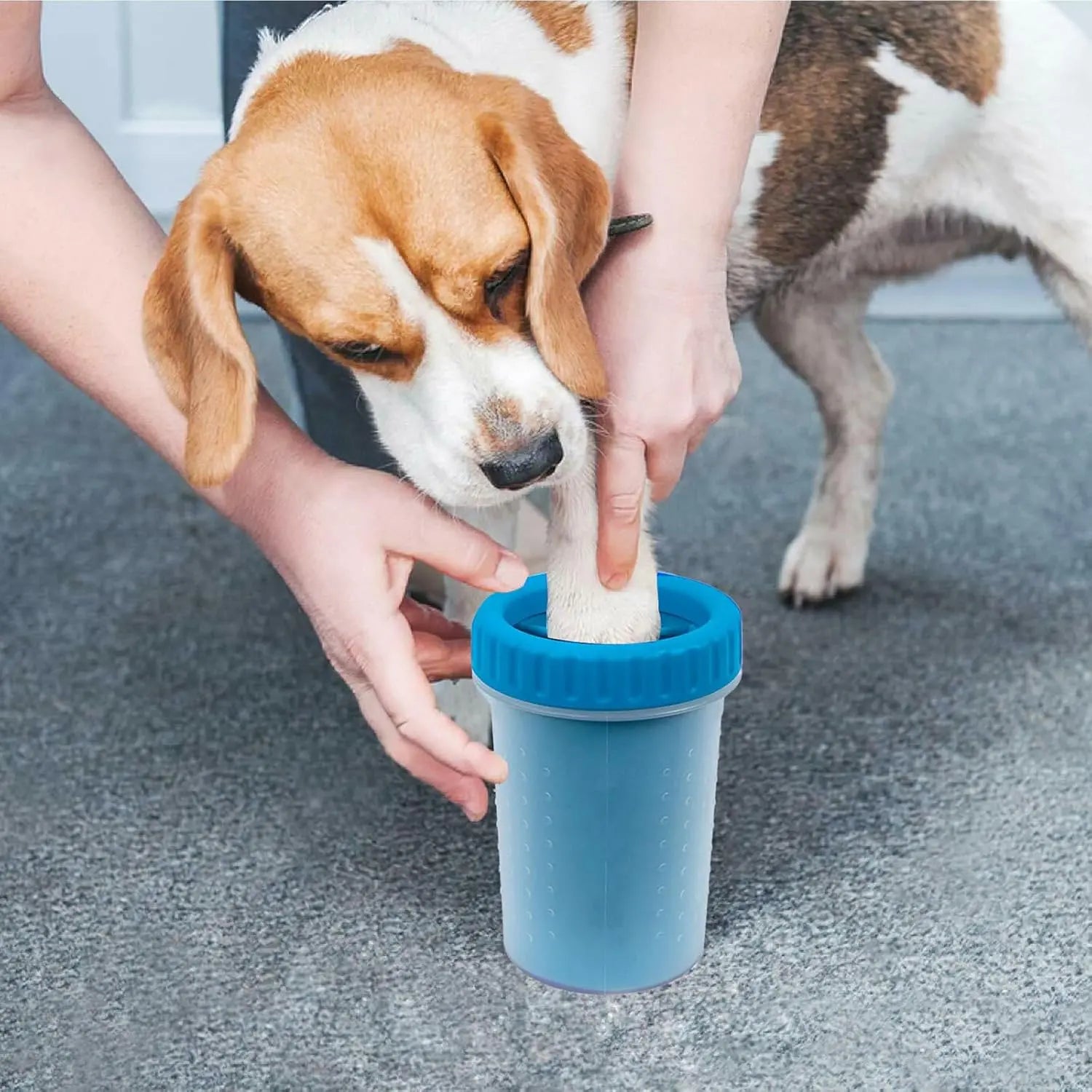 Portable Dog Paw Cleaner with Grip and Absorbent Towels for Small to Large Breeds